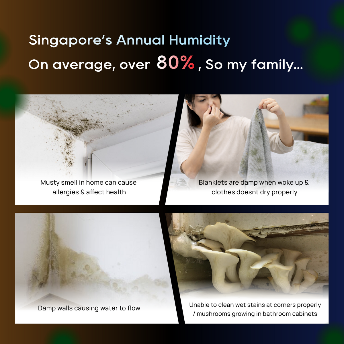 DB40 2-in-1 dehumidifier & purifier, damp-home infographic showing moisture issues