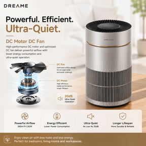 【NEW】Dreame Air Purifier DC Fan TP10 / TP20