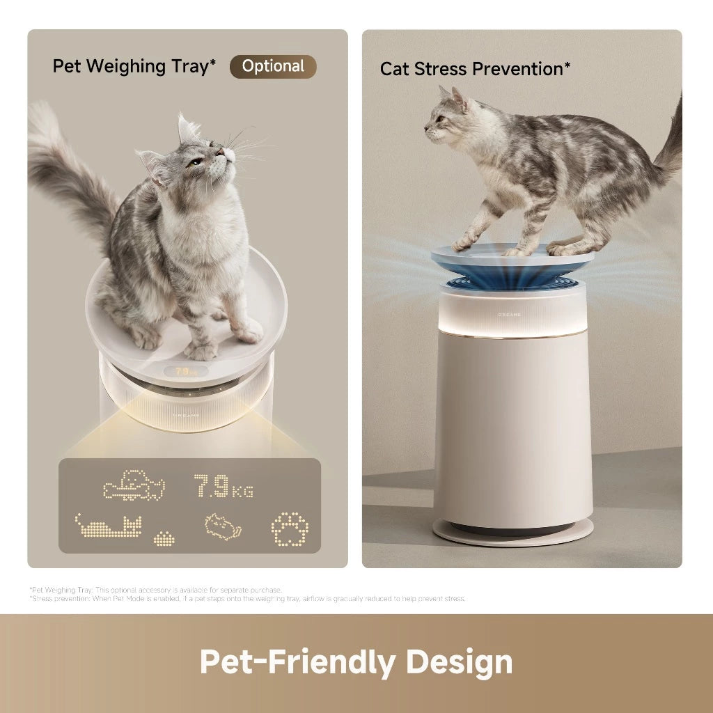 Pet weighing tray in use: cat standing on the circular platform