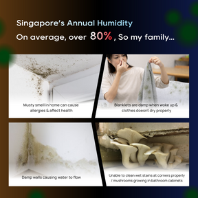 DB40 2-in-1 dehumidifier & purifier, damp-home infographic showing moisture issues