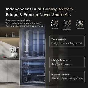 Dreame Z-Fresh Refrigerator