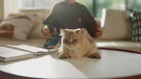 Dreame AP10 Pet Air Purifier